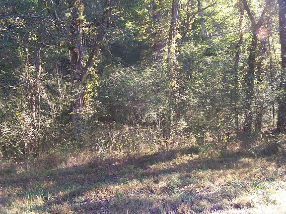 5th image of 0 Beaver View Ln