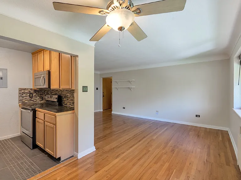733 E 2nd Ave #203 — Photo 5