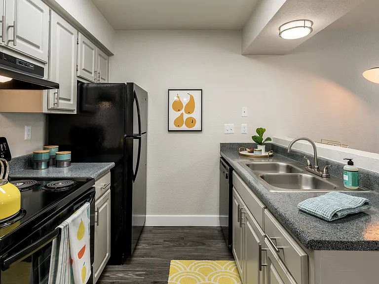 Elevate Apartments — Photo 8