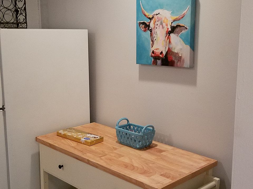 Comes with all furniture pictured!