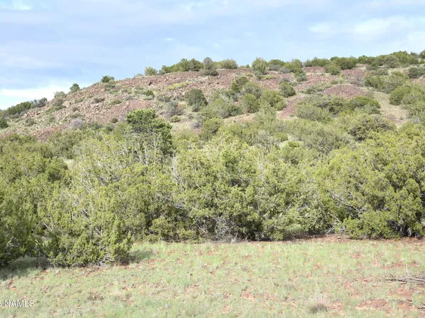 11310 S Grey Hawk Way, Williams, AZ 86046