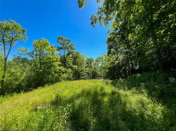0 County Road 17, Rayland, OH 43943
