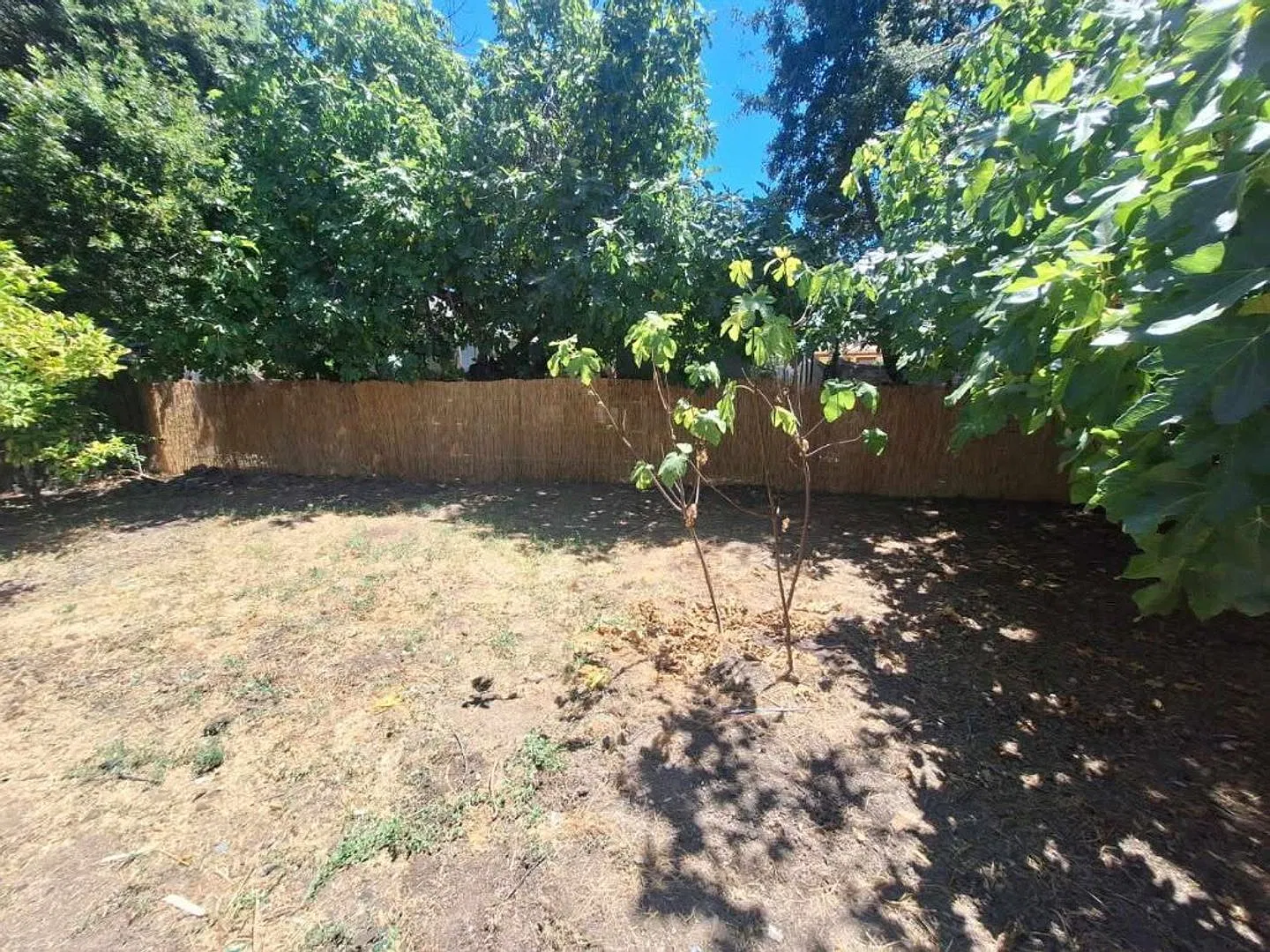 2 bed, 2.0 bath, 1200 sqft, $1,650 — Photo 2