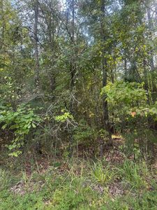 0 Fm 31, Marshall, TX, 75672