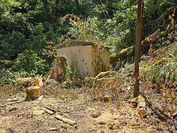 5th image of 35495 Big Trout Rd