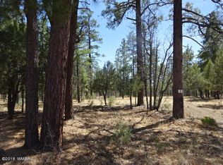 2419 Homestead Rd, Lakeside, AZ 85929