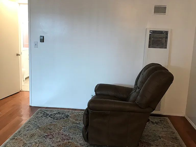 living room ,rug and recliner chair