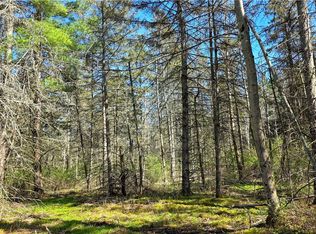 Snyder Hill Rd LOT 12, Ithaca, NY 14850