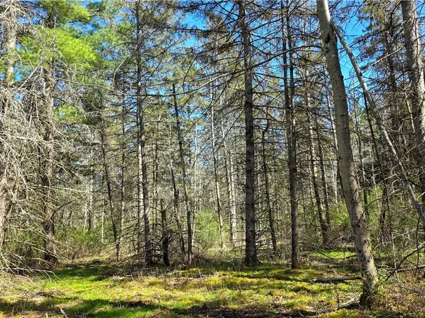 Snyder Hill Rd Lot 12, Ithaca, NY 14850
