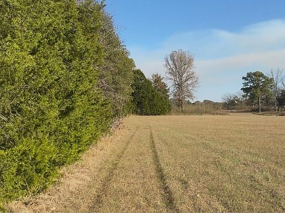 4th image of 0 County Road 215