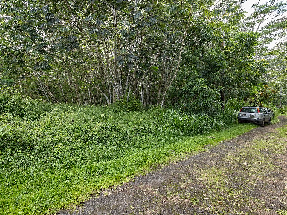 1st image of Pahoa Rd Lot 665