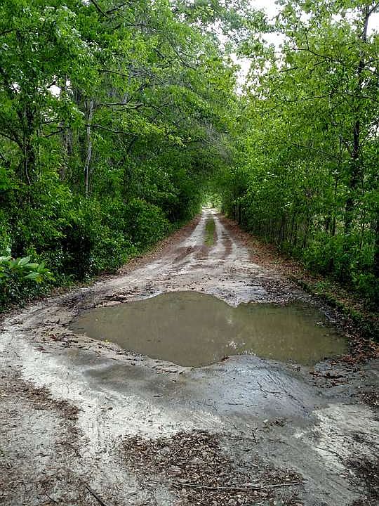2nd image of 2022 SW Old Saint Augustine Rd