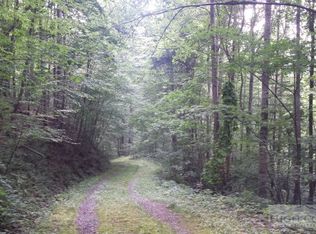 Tbd Buckeye Rd, Elk Park, NC 28622