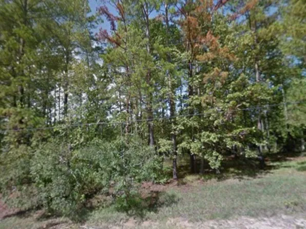 340 Oak Tree Dr, Pointblank, TX 77364