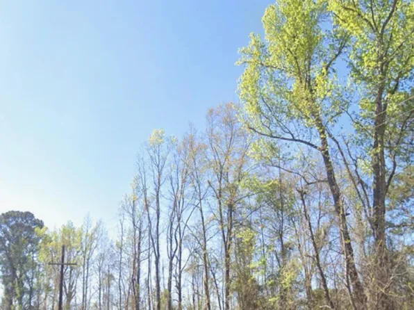 0 Broxton Bridge Rd, Bamberg, SC 29003