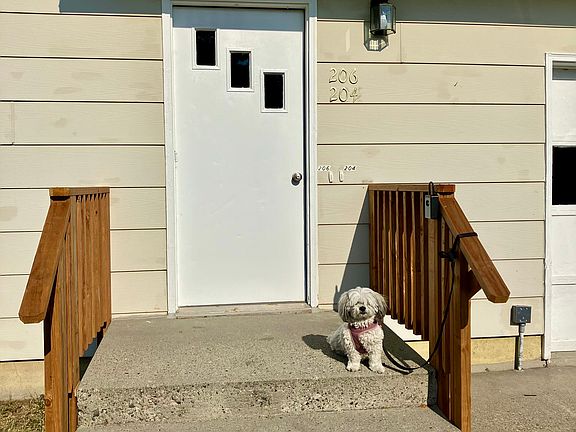 front door (dog not included)