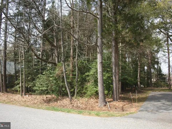 14590 Honeysuckle Way, Issue, MD 20645