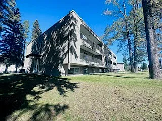 Evergreen Manor — Photo 2