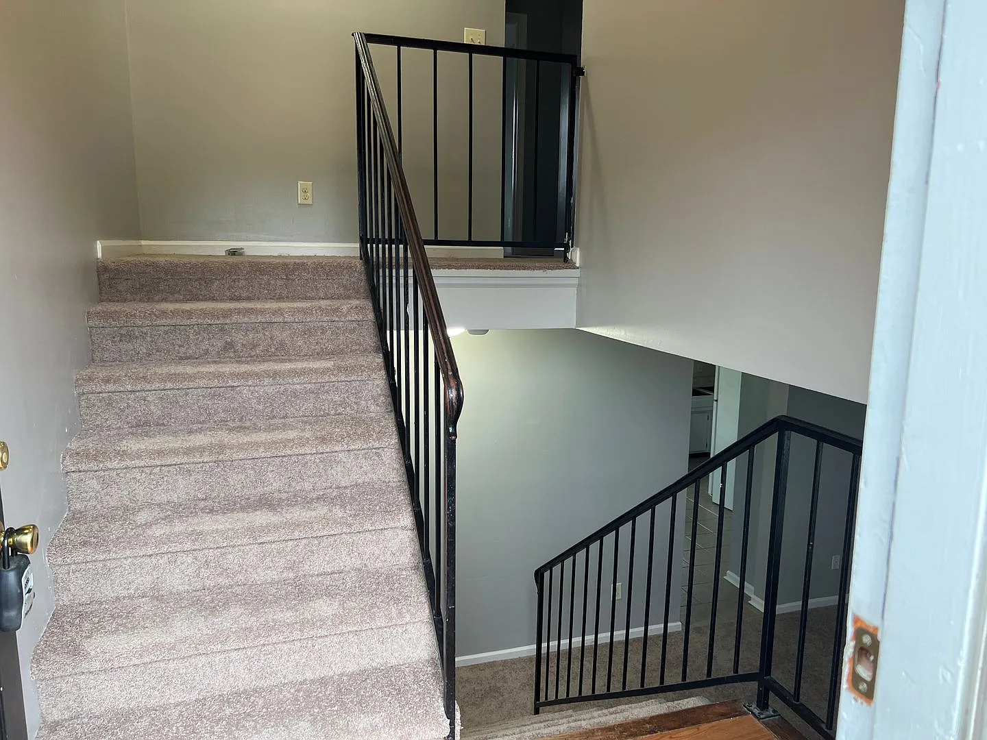 Tishoff — Photo 2