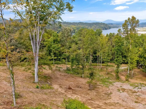 315 Tobby Hollow Ln, Knoxville, TN 37931