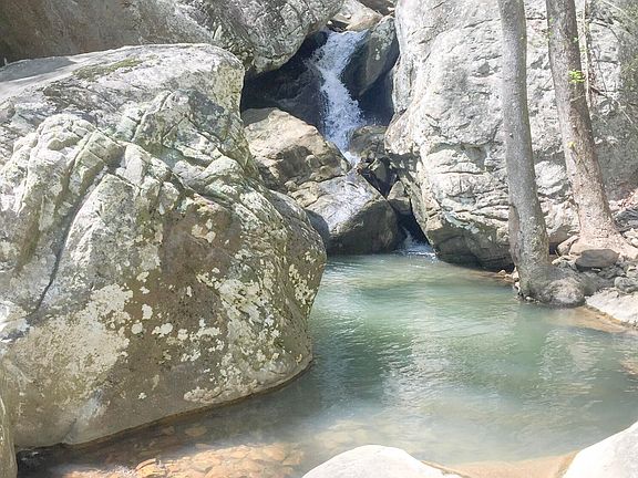 5th image of Rockfort Rd