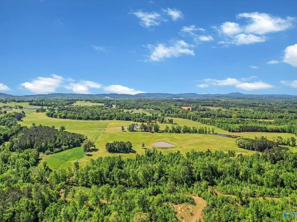 1657 Hamm Rd, Blountsville, AL 35031