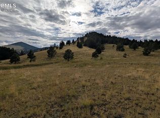 842 Monarch Dr, Cripple Creek, CO 80813