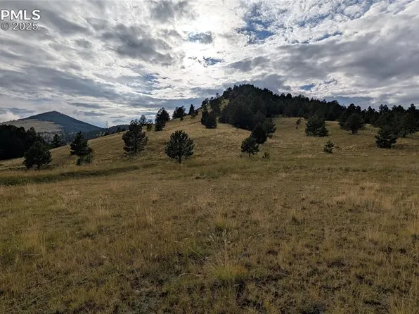 842 Monarch Dr, Cripple Creek, CO 80813