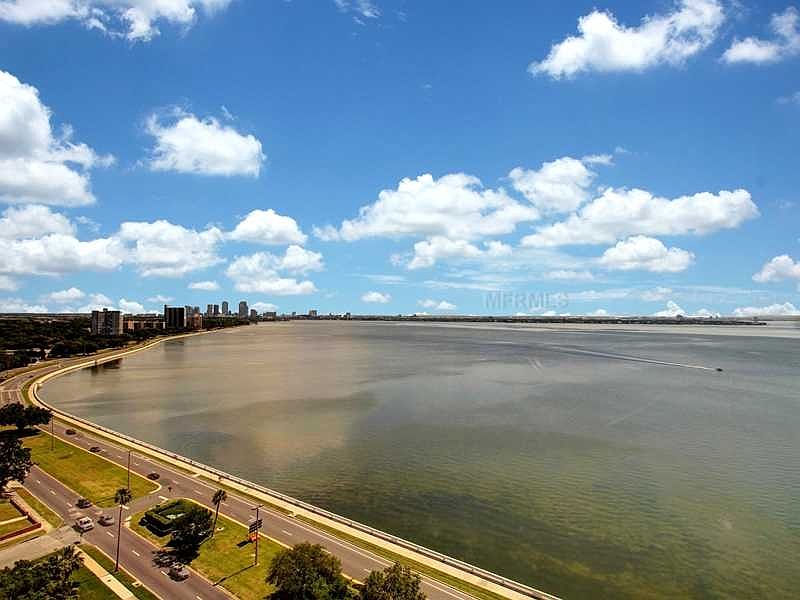 1st image of 3301 Bayshore Blvd Unit 2005