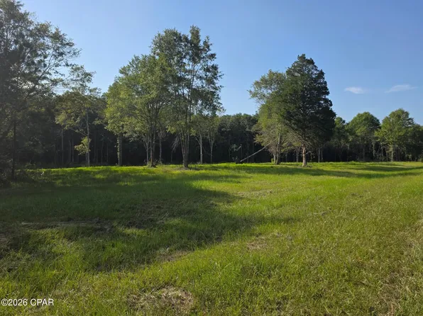 54 Reedy Rd, Westville, FL 32464