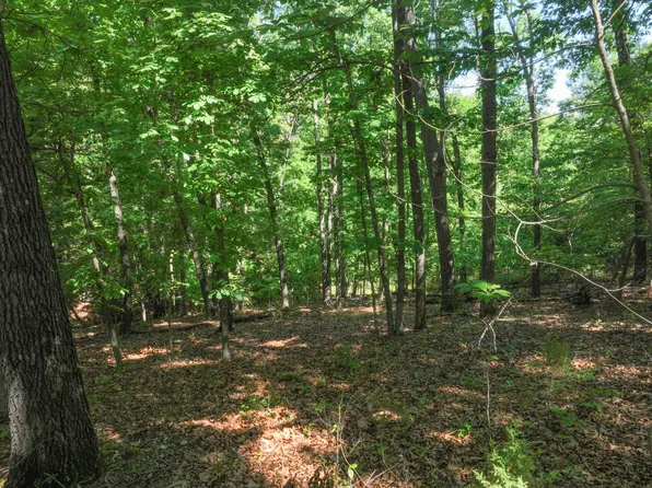 390 Brightwell Road, Protem, MO 65733