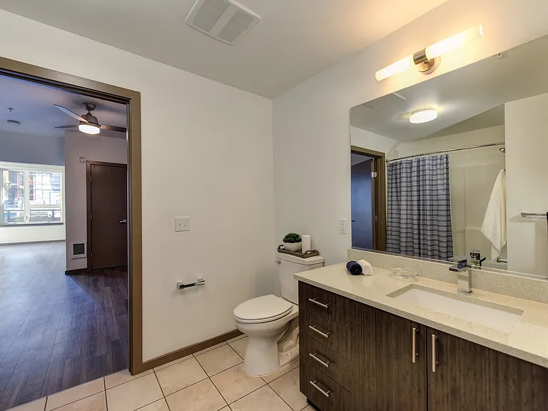 Bathroom with Dark Wood Cabinetry