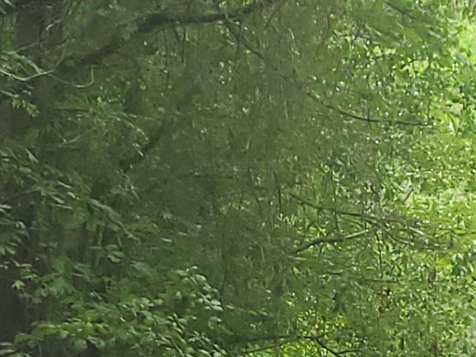 1st image of 027-F Shady Lane Lane