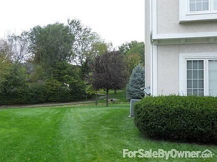 Left front yard