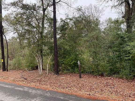 5th image of Robin Ln