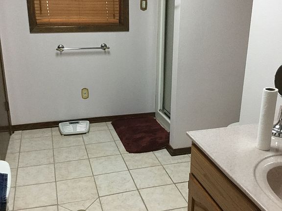 Lower level bathroom