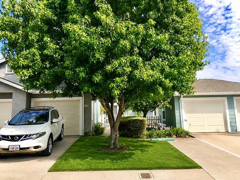 911 Bluebell Way — Photo 11