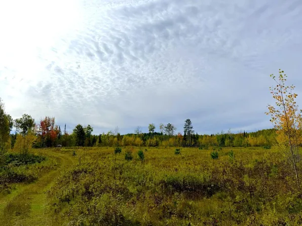 3005 W Klick Dr, Mercer, WI 54547