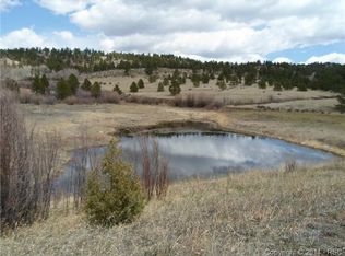 305 Lake Dr, Florissant, CO 80816