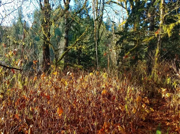 9131 E Pressentin Drive, Concrete, WA 98237