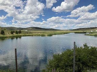 1593 Yellowstone Rd #190, Hartsel, CO 80449