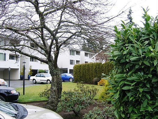 Condo Grounds