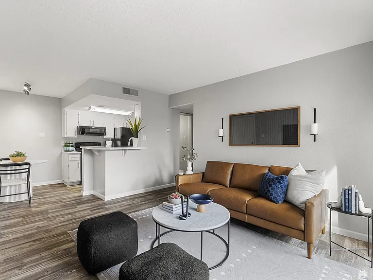 Living Room and Kitchen View