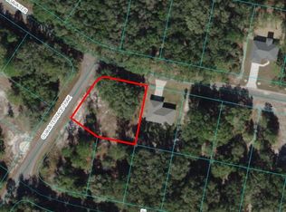 Guava Ter LOT 1, Ocklawaha, FL 32179