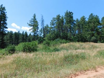 8435 Crow Pl, Larkspur, CO, 80118