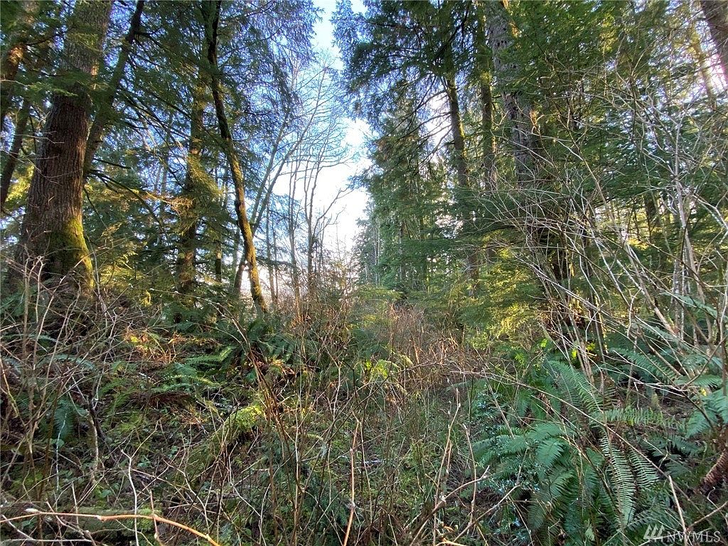 12300 Highway 112 Sekiu Wa 98381 Mls 1582133 Zillow