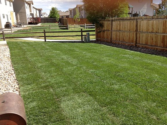 Backyard now has a complete fence