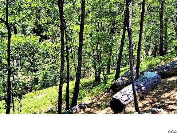 2nd image of 1743 Patricia Ln