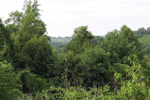 1st image of Tract 3 Crestview Dr.