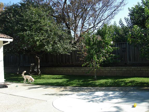 3rd image of 1524 Ilikai Ave